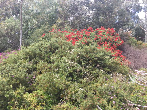 Tegwan's Nest Holiday Home - New South Wales Tourism  42