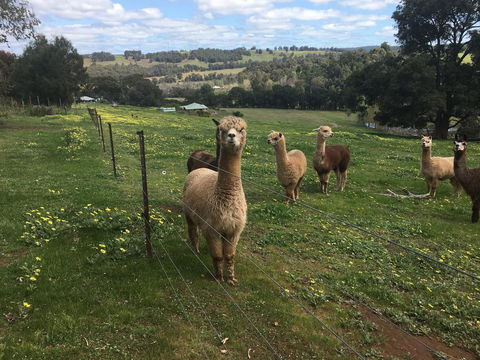 Tegwan's Nest Holiday Home - New South Wales Tourism  44
