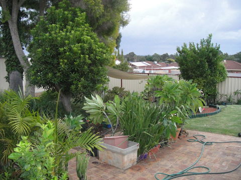 Armadale Cottage Bed & Breakfast - New South Wales Tourism  39