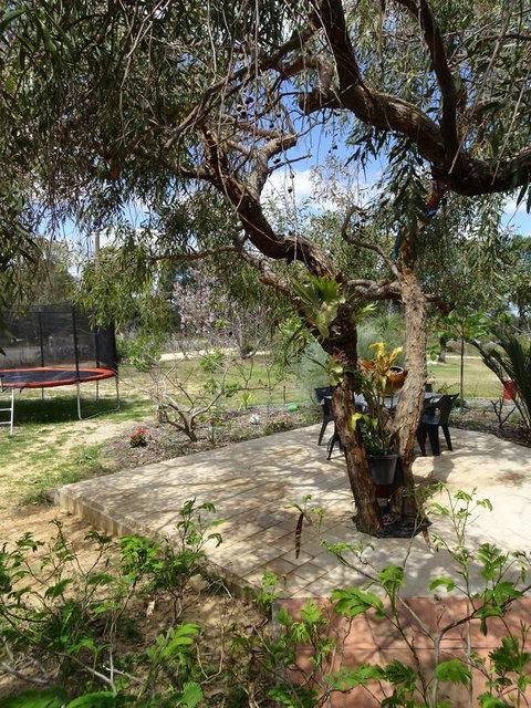 Majestichomestead B&B - New South Wales Tourism  7