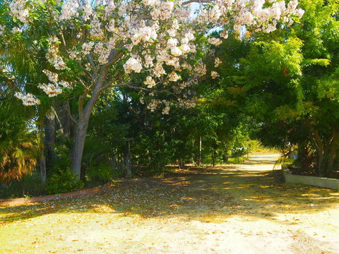 Majestichomestead B&B - New South Wales Tourism  33