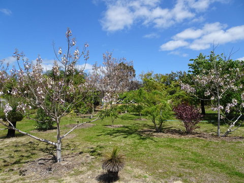 Majestichomestead B&B - New South Wales Tourism  27