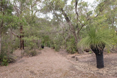 53 Martina Drive - New South Wales Tourism  30