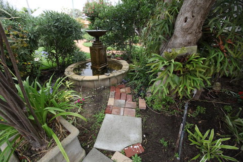 Jacaranda Guest House - New South Wales Tourism  32