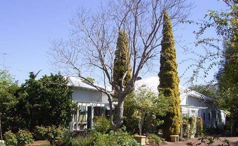 Jacaranda Guest House - New South Wales Tourism  37