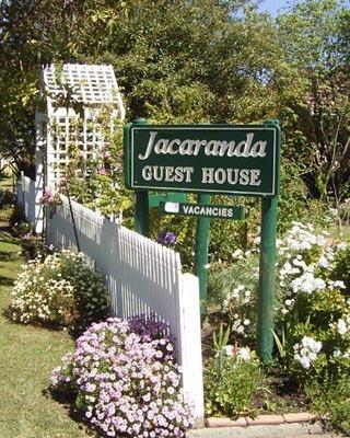 Jacaranda Guest House - New South Wales Tourism  43