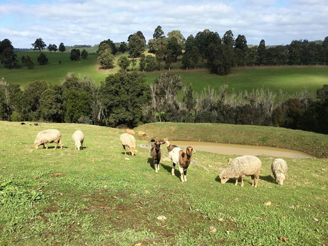 Balingup Highview Chalets - New South Wales Tourism  36