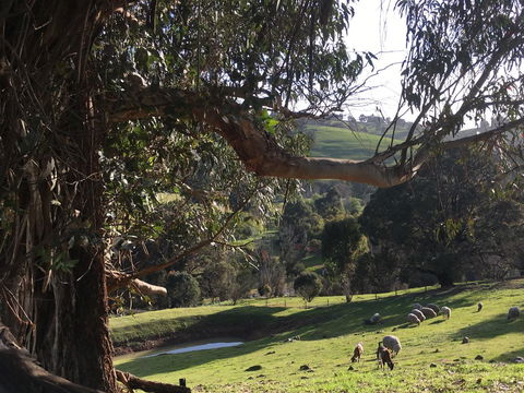 Balingup Highview Chalets - New South Wales Tourism  13