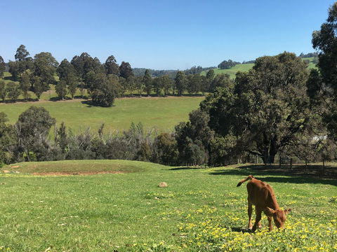 Balingup Highview Chalets - New South Wales Tourism  23