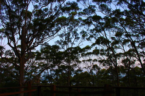 Ark Of Denmark - New South Wales Tourism  27