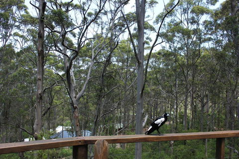 Ark Of Denmark - New South Wales Tourism  11