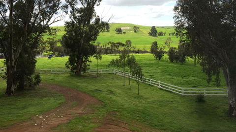 Daisy Cottage - New South Wales Tourism  22