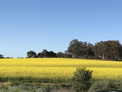 Daisy Cottage - New South Wales Tourism  6