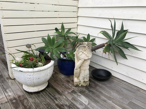 Orion Studio With Ocean Views - New South Wales Tourism  19