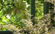 Kalbarri Beach Resort - thumb 32