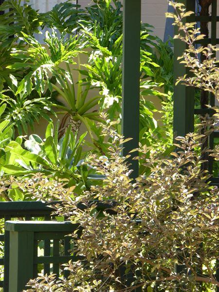 Kalbarri Beach Resort - New South Wales Tourism  32