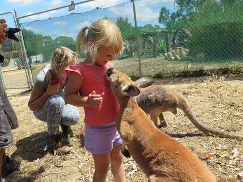 Jurien Beachfront Holiday Units - New South Wales Tourism  36