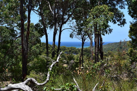 Eagle Bay House - New South Wales Tourism  38