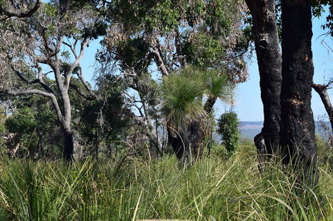 Eagle Bay House - New South Wales Tourism  32