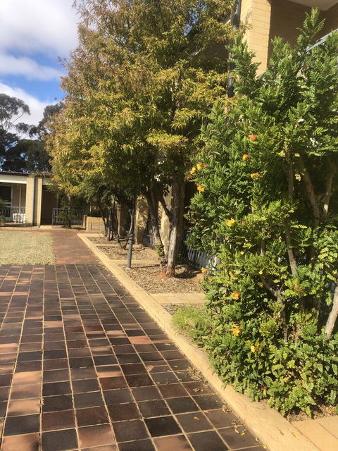 Kambalda Hotel - New South Wales Tourism  24