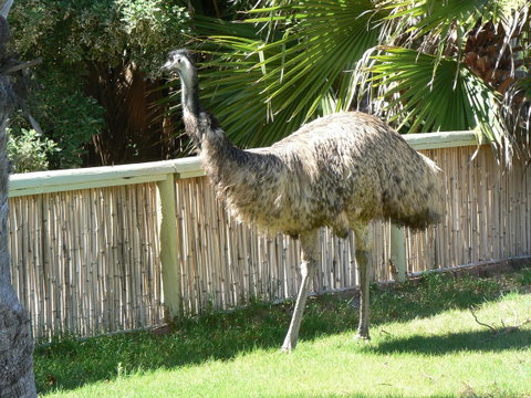 Wildsights Villas - New South Wales Tourism  29