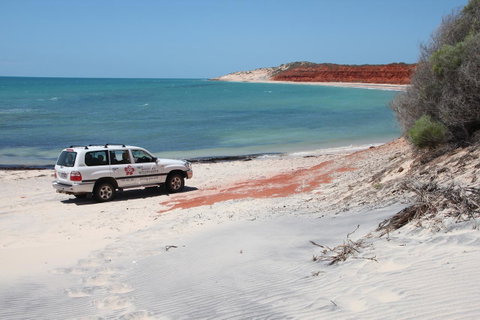 Wildsights Villas - New South Wales Tourism  12