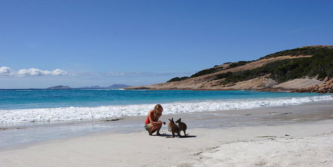 Esperance YHA - New South Wales Tourism  19