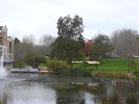 Dragonfly Apartment On Regal - New South Wales Tourism  43