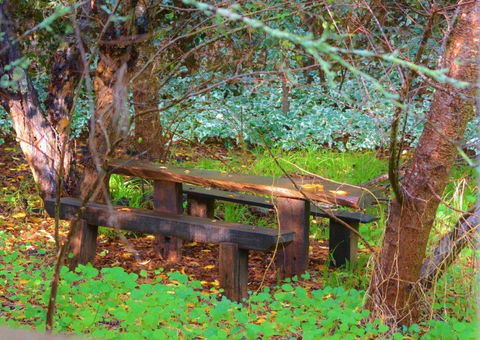 Black Cockatoo Lodge - New South Wales Tourism  44