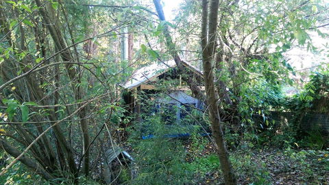 Black Cockatoo Lodge - New South Wales Tourism  22