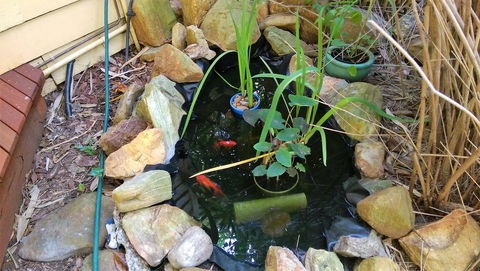 Black Cockatoo Lodge - New South Wales Tourism  29