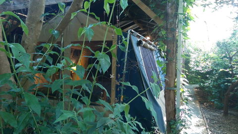 Black Cockatoo Lodge - New South Wales Tourism  13