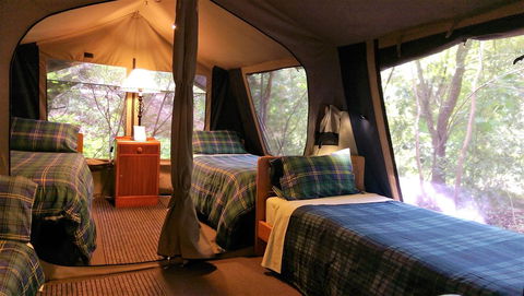 Black Cockatoo Lodge - New South Wales Tourism  17