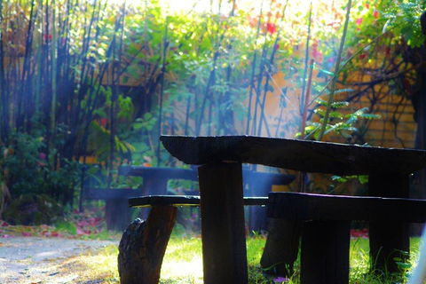 Black Cockatoo Lodge - New South Wales Tourism  43