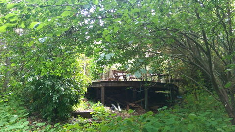 Black Cockatoo Lodge - New South Wales Tourism  23