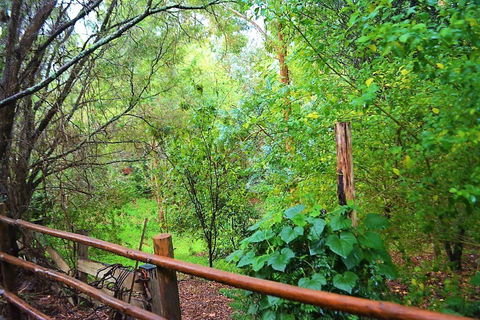 Black Cockatoo Lodge - New South Wales Tourism  28