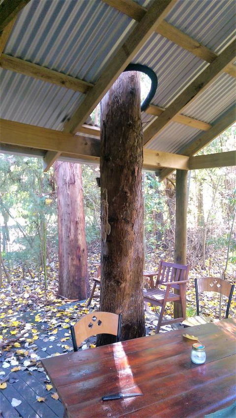 Black Cockatoo Lodge - New South Wales Tourism  19