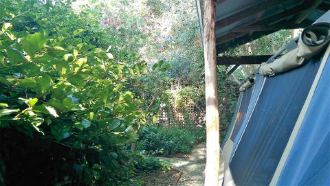 Black Cockatoo Lodge - New South Wales Tourism  12