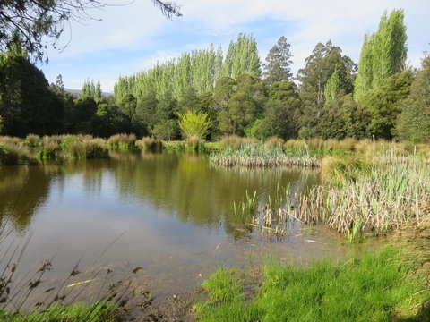 Giants Table And Cottages - New South Wales Tourism  25