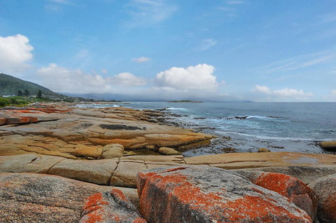 Harvey Farm Lodge - New South Wales Tourism  2