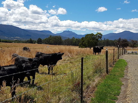 The Manager\'s Cottage - New South Wales Tourism  6