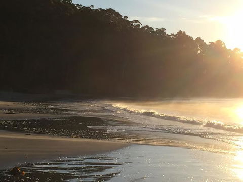 Summertime Cottage - New South Wales Tourism  7
