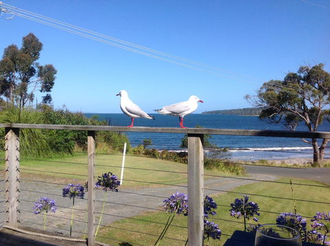 Summertime Cottage - New South Wales Tourism  25