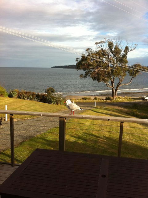 Summertime Cottage - New South Wales Tourism  30