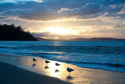 The Ultimate Beach House - New South Wales Tourism  8