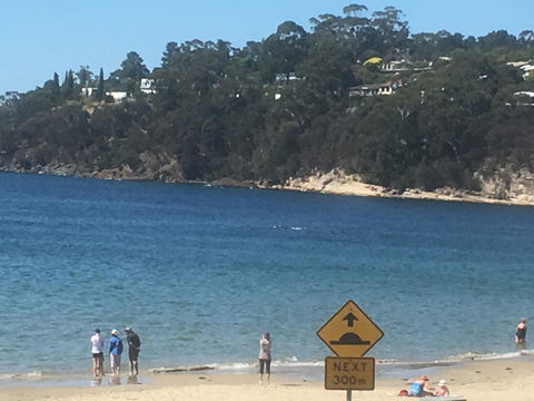 The Ultimate Beach House - New South Wales Tourism  2