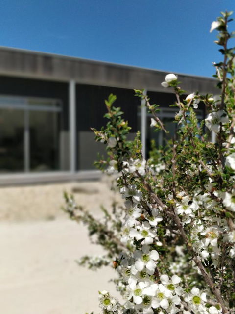 Aplite House - New South Wales Tourism  7