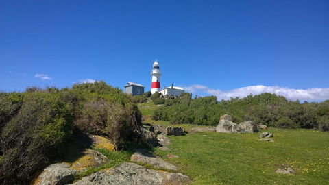BIG4 Low Head Tourist Park - New South Wales Tourism  6
