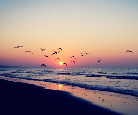 Kingston Beach-House Retreat - New South Wales Tourism  18