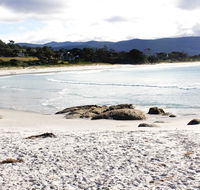 Mermaids of Bicheno - New South Wales Tourism 